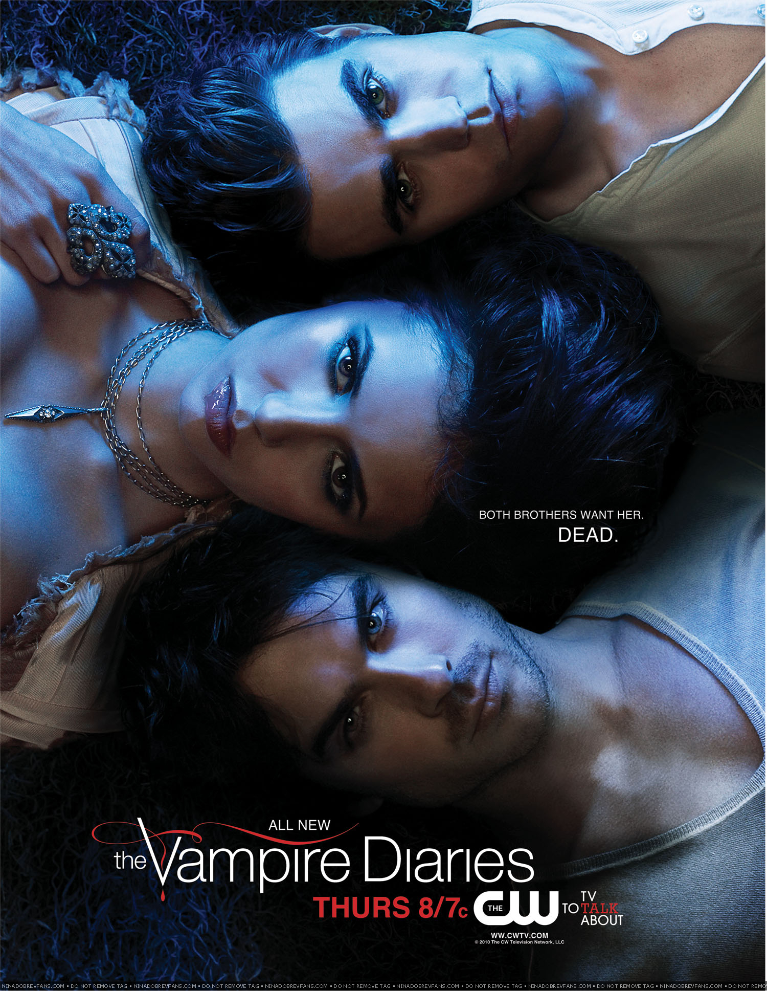 Damon, Stefan a Elena VI.