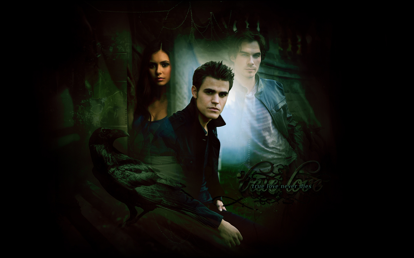 Damon, Stefan a Elena VIII.